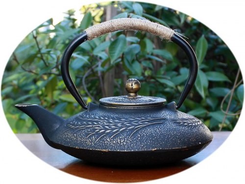 Chinese teapot cast iron D